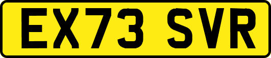 EX73SVR