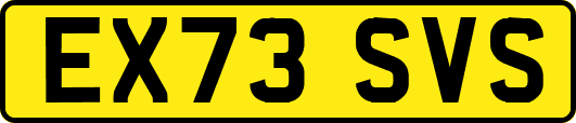 EX73SVS