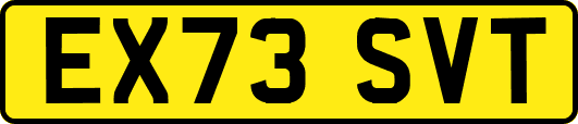 EX73SVT