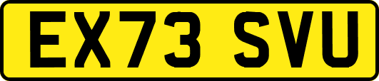 EX73SVU