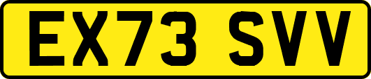 EX73SVV