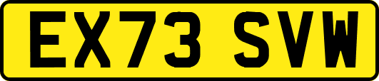 EX73SVW