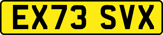 EX73SVX