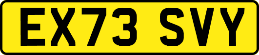 EX73SVY