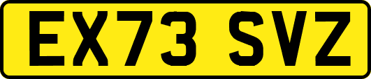 EX73SVZ