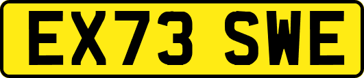 EX73SWE