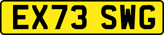 EX73SWG