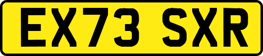 EX73SXR