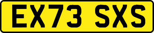 EX73SXS
