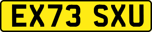 EX73SXU