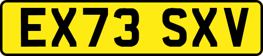 EX73SXV