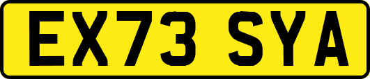 EX73SYA