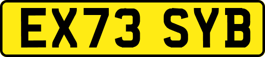 EX73SYB