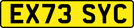 EX73SYC