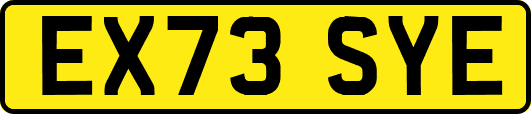 EX73SYE