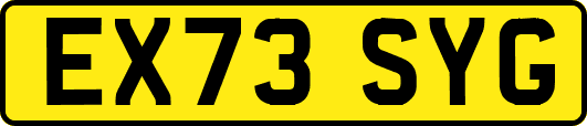 EX73SYG