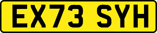 EX73SYH