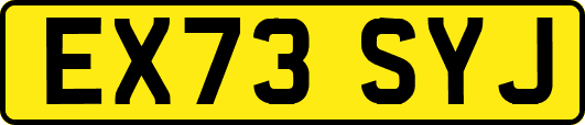 EX73SYJ