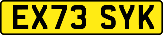 EX73SYK