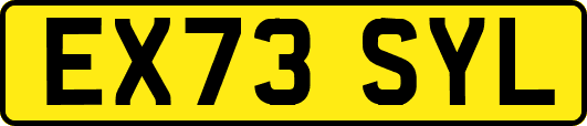 EX73SYL