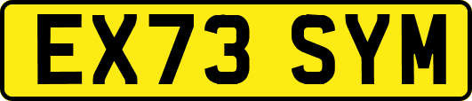 EX73SYM