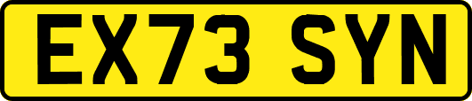 EX73SYN