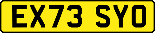 EX73SYO