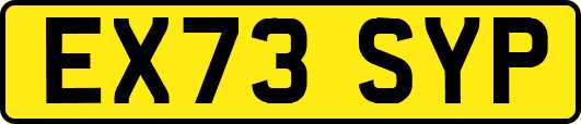 EX73SYP