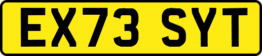 EX73SYT