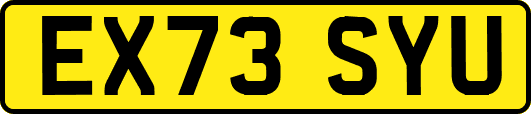 EX73SYU