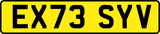 EX73SYV