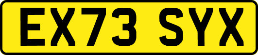 EX73SYX