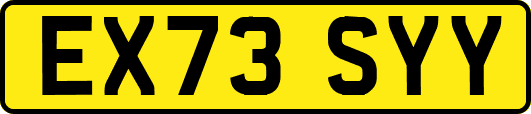 EX73SYY