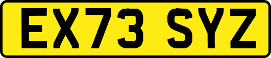 EX73SYZ
