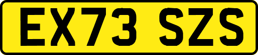 EX73SZS