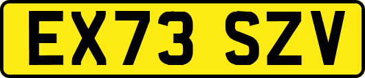 EX73SZV