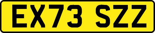 EX73SZZ