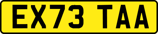 EX73TAA