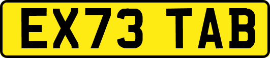 EX73TAB
