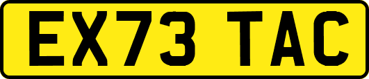 EX73TAC