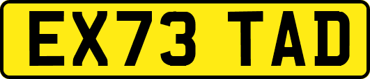 EX73TAD