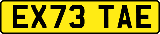 EX73TAE