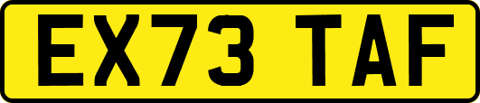 EX73TAF