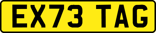 EX73TAG