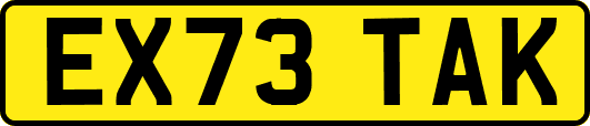 EX73TAK