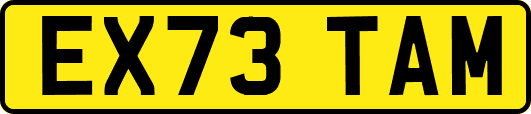 EX73TAM