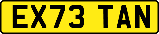 EX73TAN