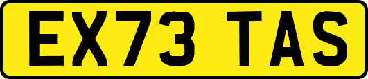 EX73TAS