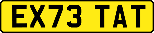 EX73TAT