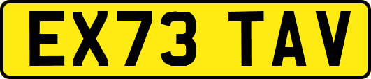 EX73TAV